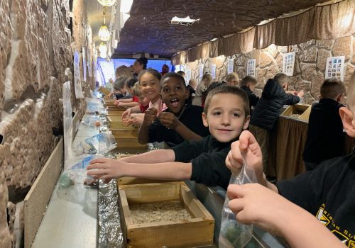 First Grade Gem Mining