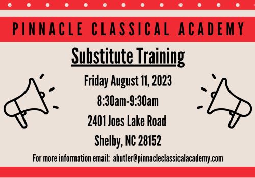 Substitute Training