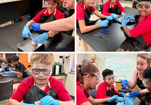 Science Through a New Lens: Sixth Graders Explore Cow Eye Anatomy
